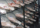 Salumi tipici umbri