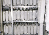 Salumi tipici umbri